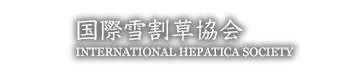 国際雪割草協会 - International Hepatica Society